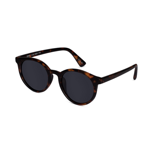 Wollumbin Australia Cove Universal Sunglasses - Tort/Smoke